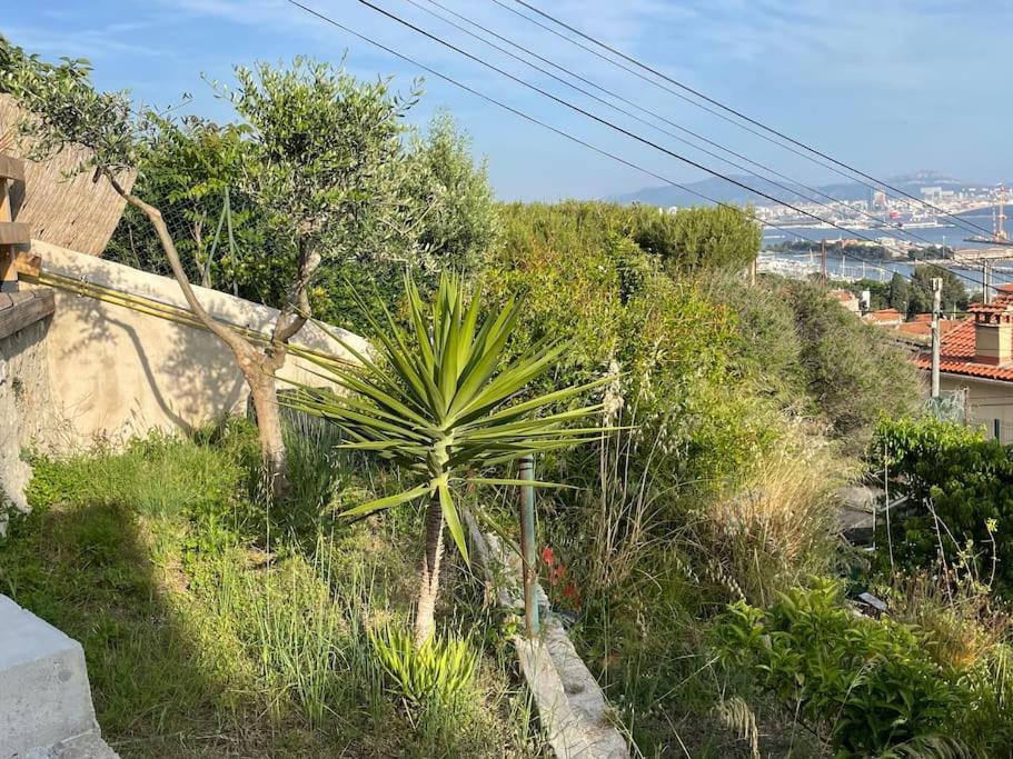 מרסיי Superbe Terrasse Avec Vue Panoramique Sur La Mer מראה חיצוני תמונה