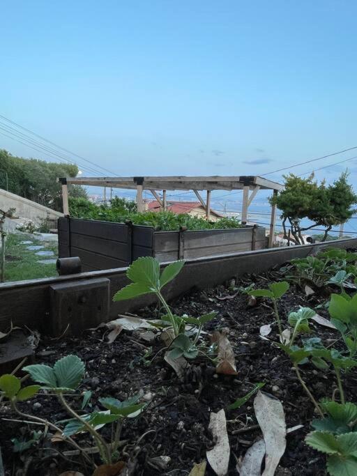 מרסיי Superbe Terrasse Avec Vue Panoramique Sur La Mer מראה חיצוני תמונה